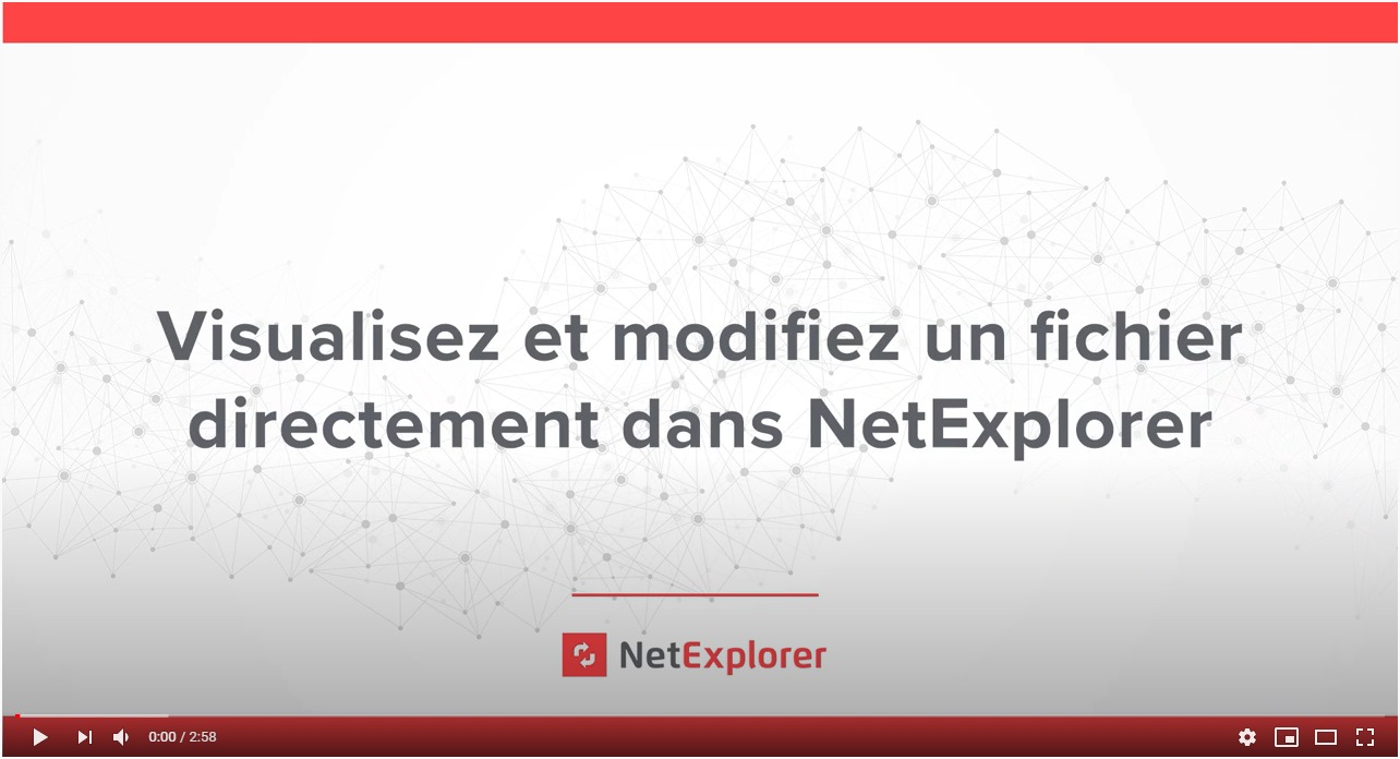 visualisez et modifiez un fichier directement dans NetExplorer